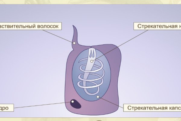 Кракен тор зеркало