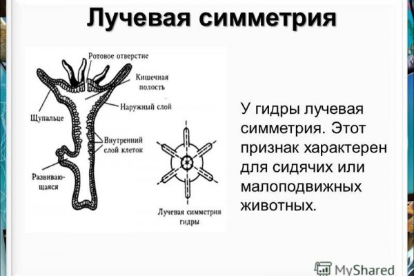 Гидра онион тор