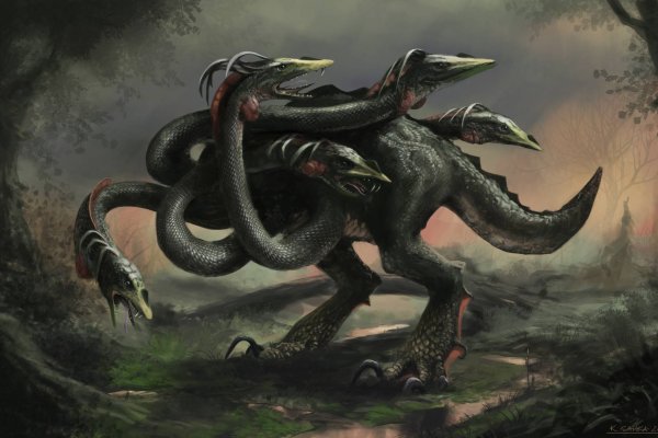 Kraken hydra